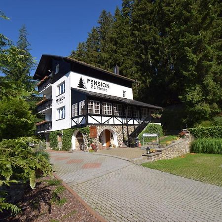 Pension St. Moritz Zelezna Ruda Bagian luar foto